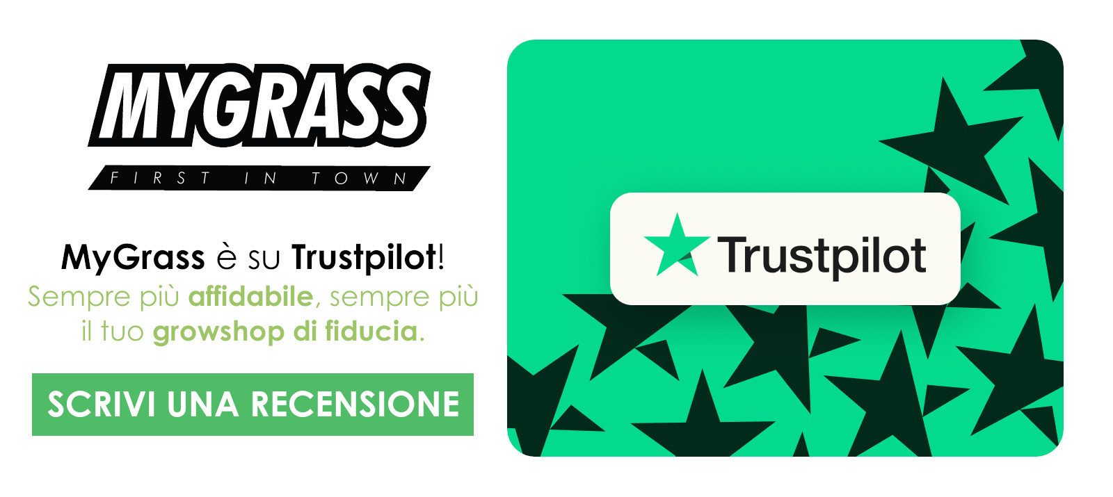 Lascia una recensione per MyGrass su Trustpilot